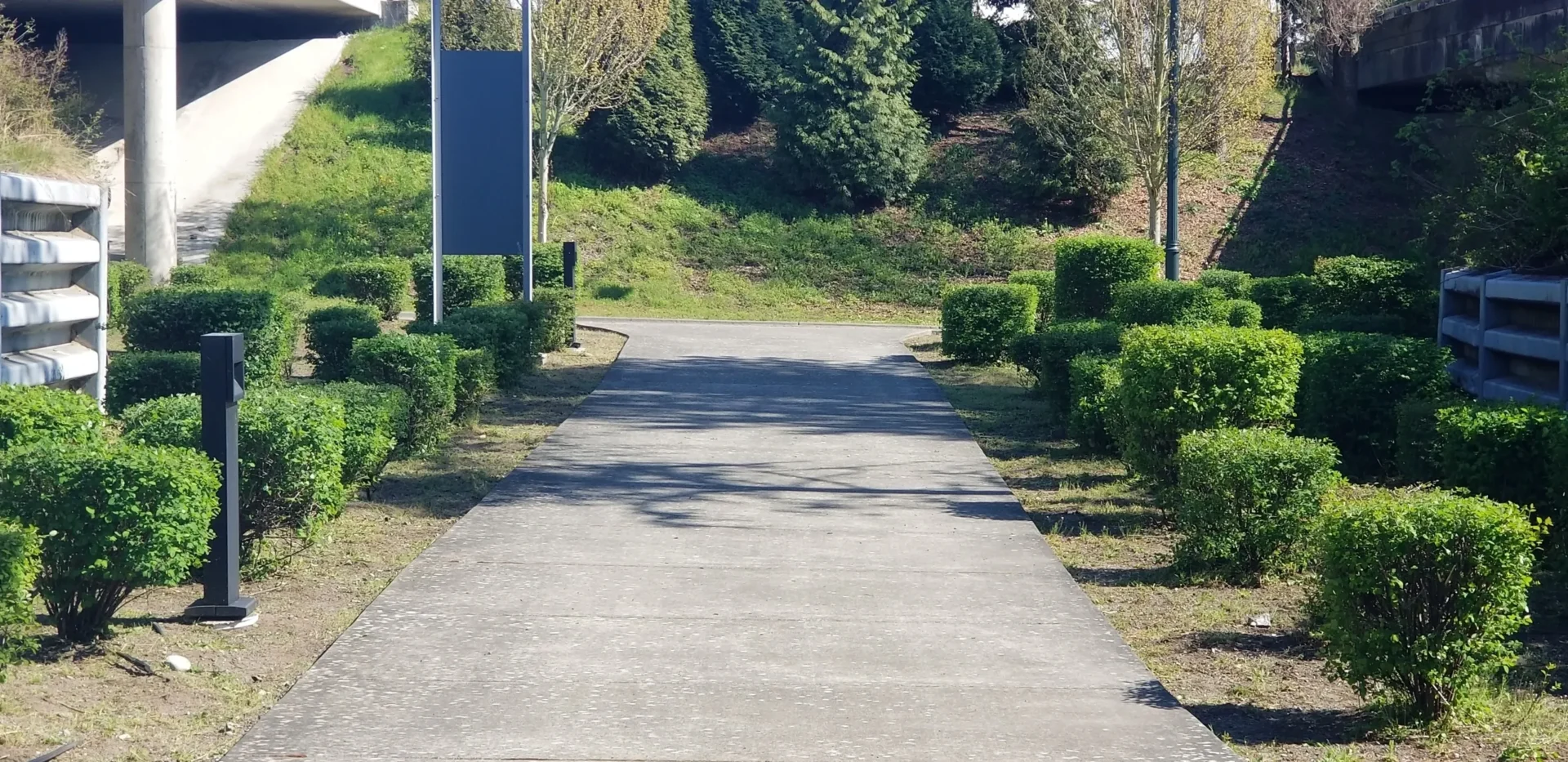 A paved road with bushes and trees in the background.
