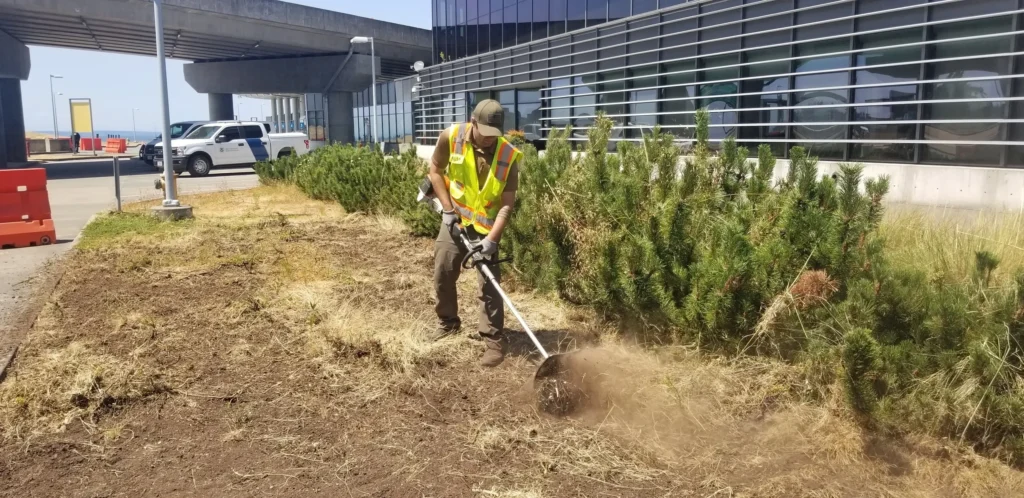A man in yellow vest using a weeding tool to cut the ground.
