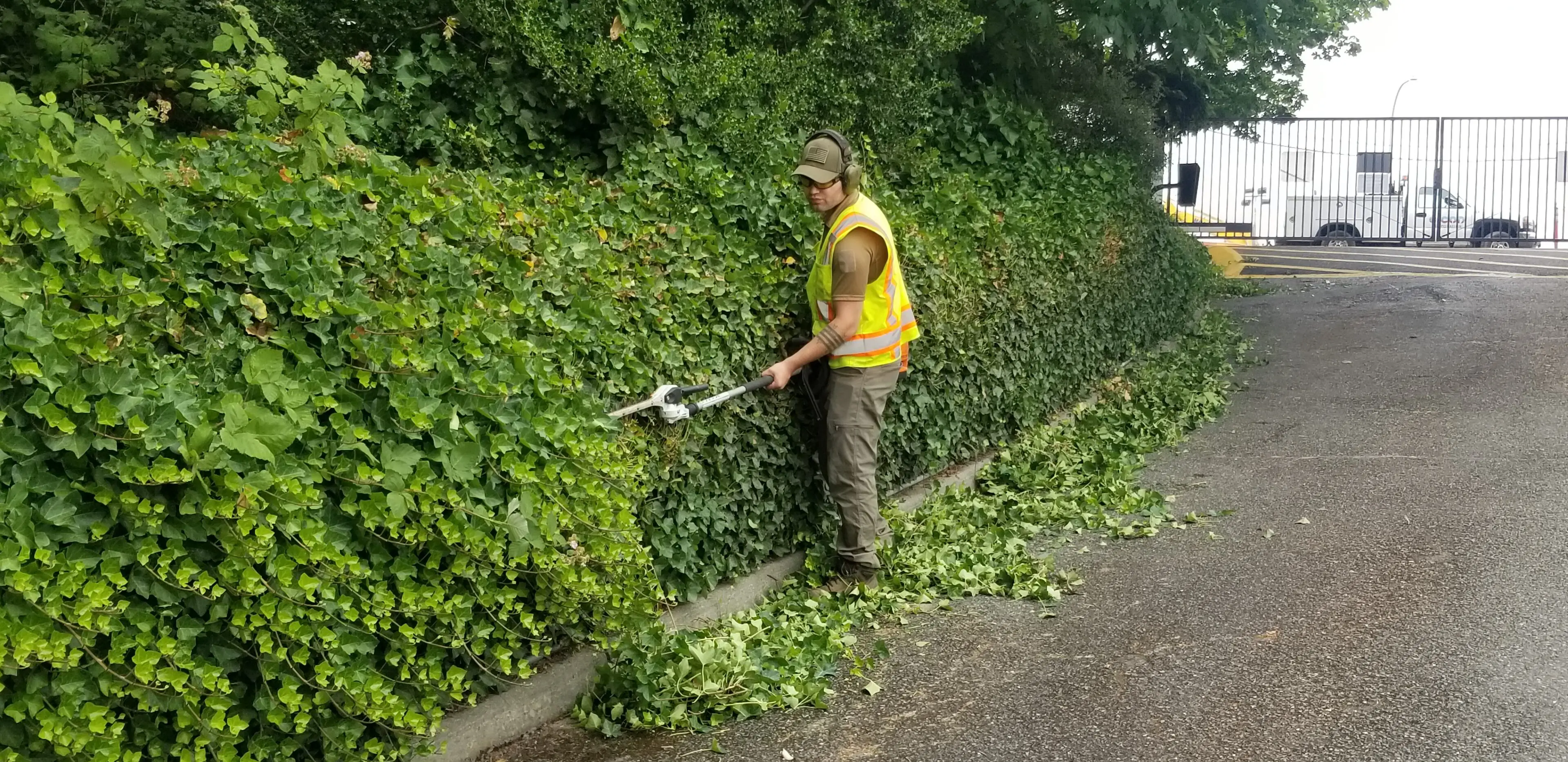 A man is trimming the hedge with an electric shears.