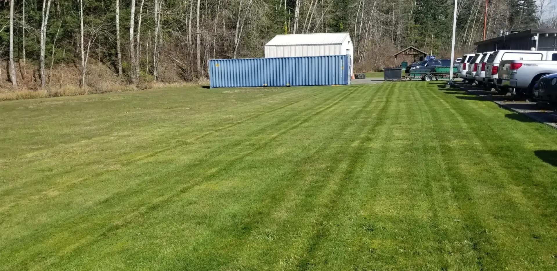 A field with grass and trees in the background.