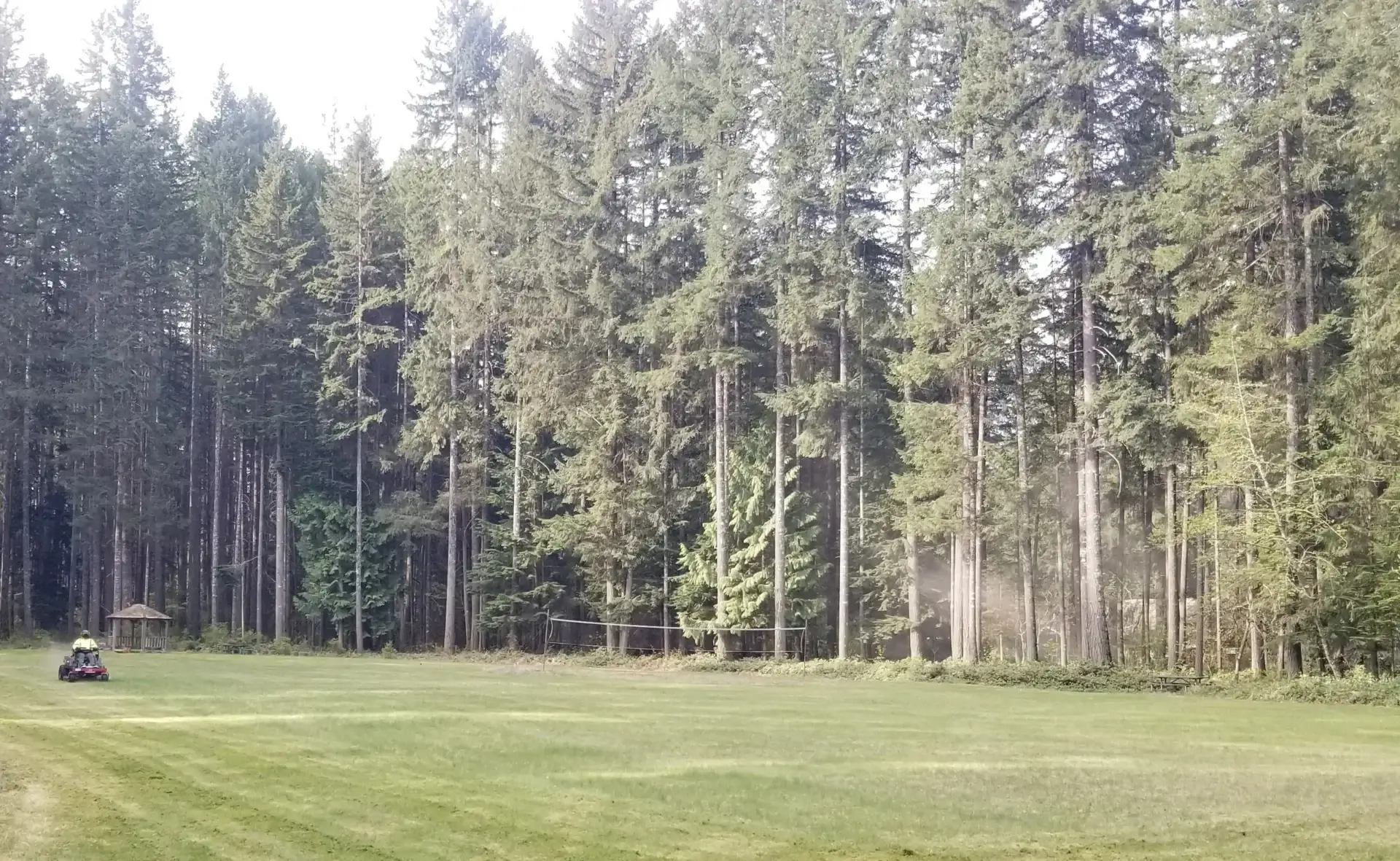 A field with trees in the background